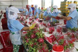 Xuất khẩu nông-thủy sản sang Trung Quốc: Thay đổi tư duy, định vị thị trường