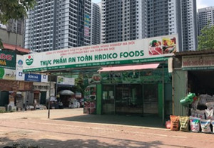 Hàng chục tỷ sau các thương vụ 'chuyển nhượng' mất đất của Hadico đang ở đâu?