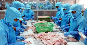 Vũ khí đáng 'gờm' của Vĩnh Hoàn gia tăng lợi nhuận thời Covid-19 là gì?
