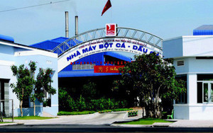 Điều gì đẩy cổ phiếu của Trisedco (DAT) tăng trần khó hiểu trong suốt 39 phiên?