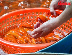 Giá cá chép tăng chóng mặt, tiểu thương chợ Yên Sở hết hàng từ sáng sớm